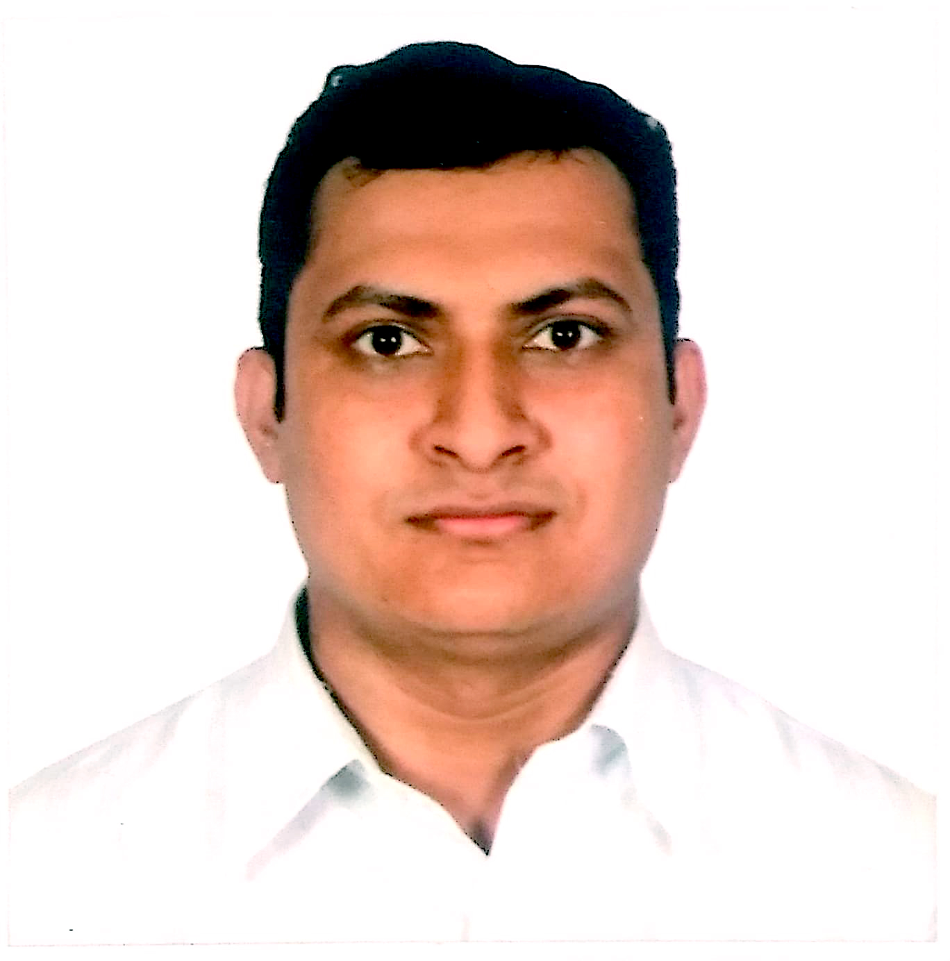 Branch Image