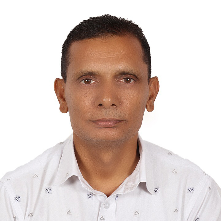 Branch Image