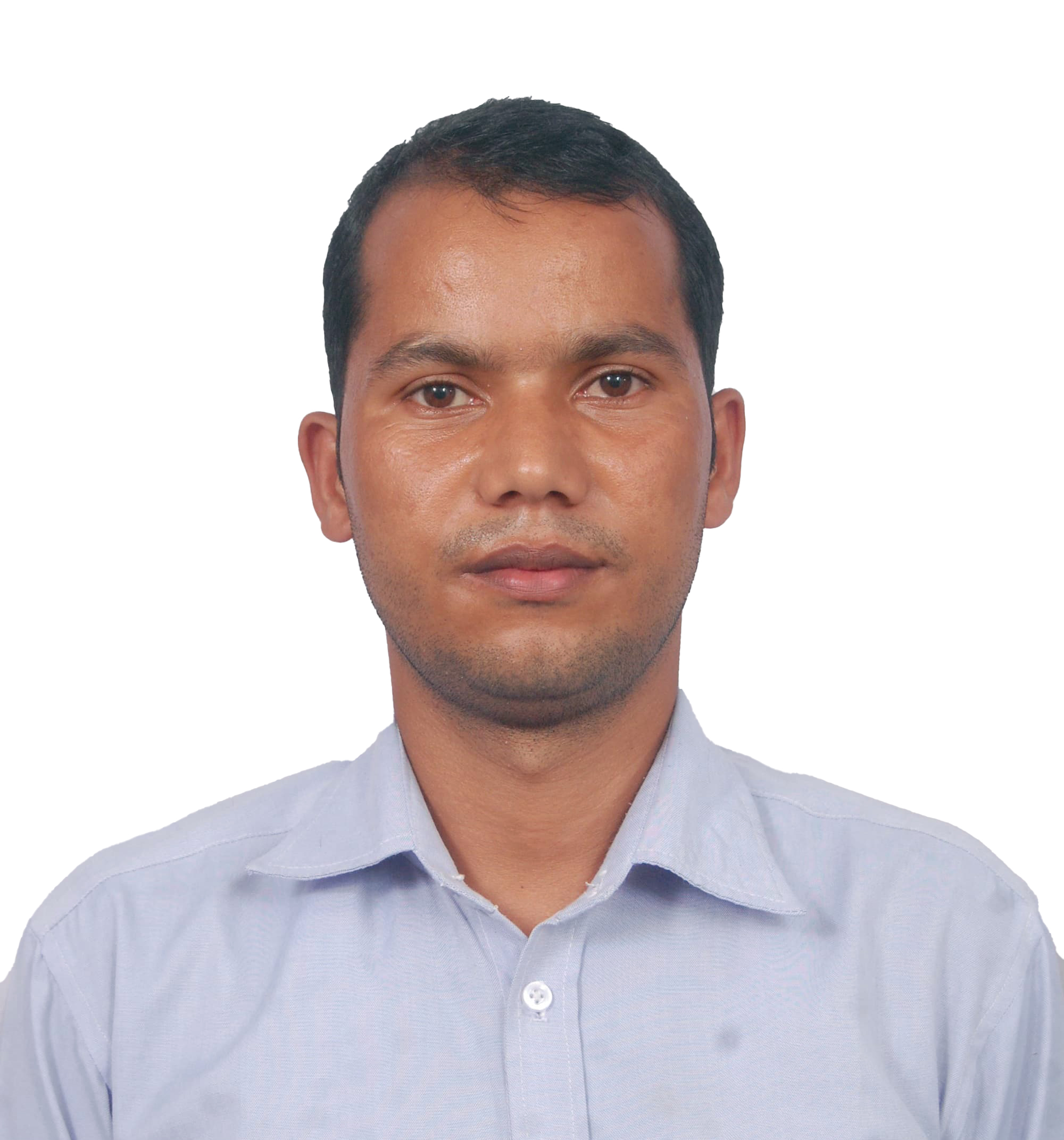 Branch Image